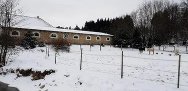 2018 tájfutás képekben