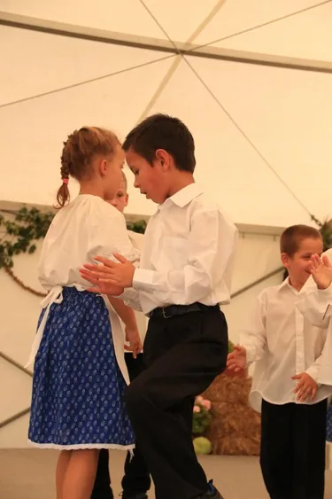 XIV. Bakonyi Krumpliszüreti és Művészeti Fesztivál 2016