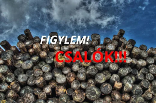 'FIGYELEM! Tűzifás csalók!' cikk borítóképe