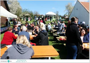 Medvehagymás Nap borítóképe