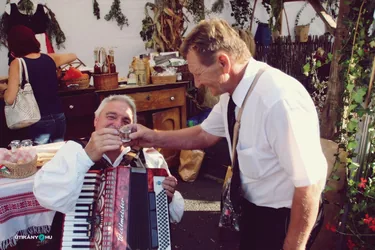 Nemzeti Vágta, szurkoljunk együtt a Bakonynak!