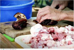 Fotók, Útirány.hu: