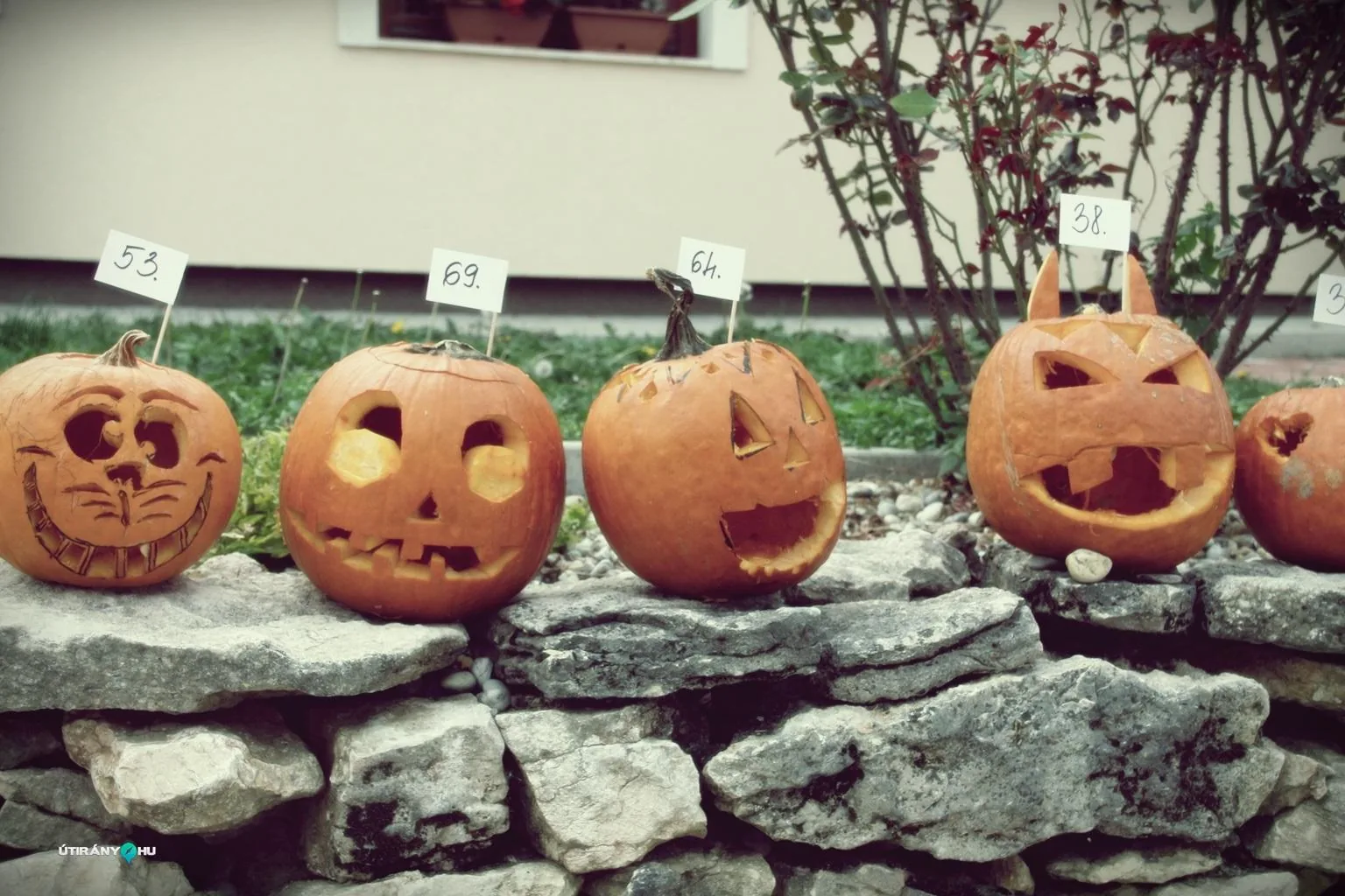 Tökfesztivál 2018. Fotók: Útirány.hu