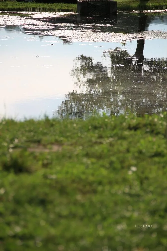 Fotók: BakonyiHírek