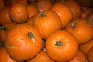 Fotók 1 album: Babai Lalinda