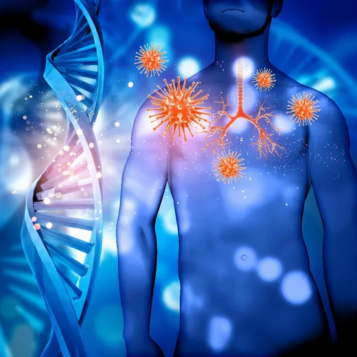 'Testünk a csoda-kiállítás' cikk borítóképe