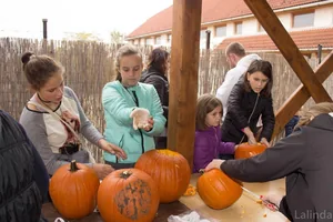 Fotók 1 album: Babai Lalinda