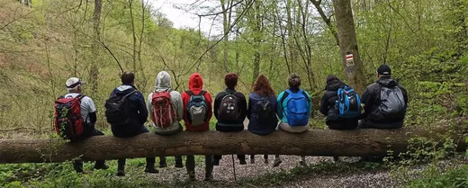 'VI. Bakonyi Nyuszitúra' cikk borítóképe