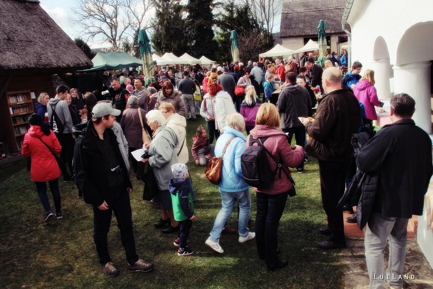 12. Medvehagymás napok. Fotók: Sárfi Lajos