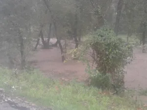 Gerence Pénzesgyőr 2018.09.04.