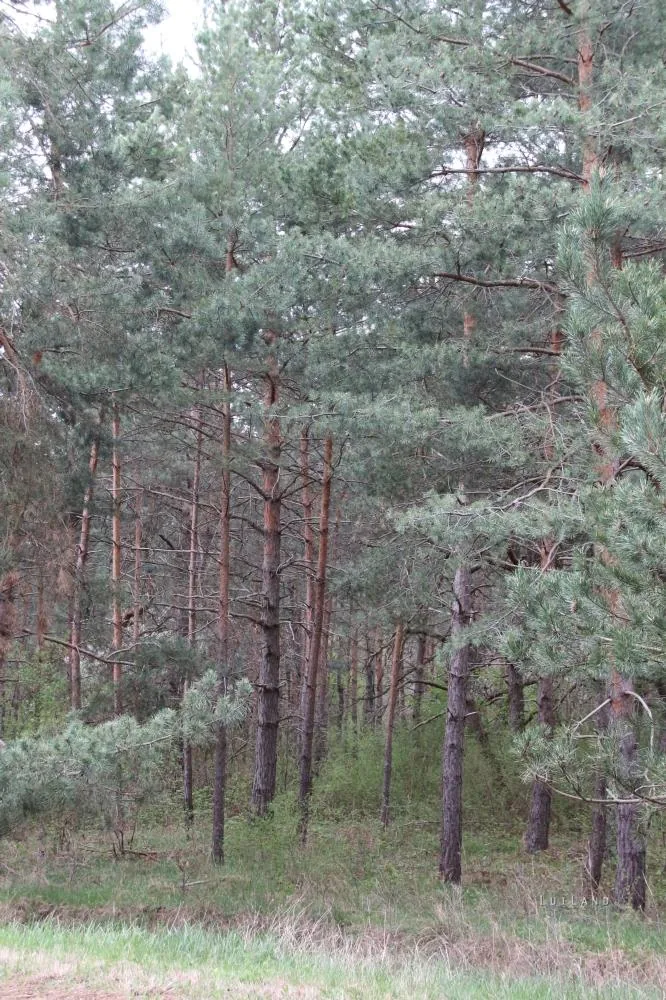 Fotók és kisfilm: Útirány.hu