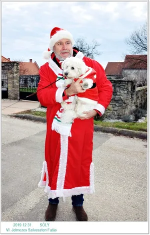 VI. Szilveszteri jelmezes futás. Fotók: Önkormányzat