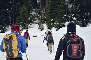 Bakonyi bakancsos decemberi túrák borítóképe