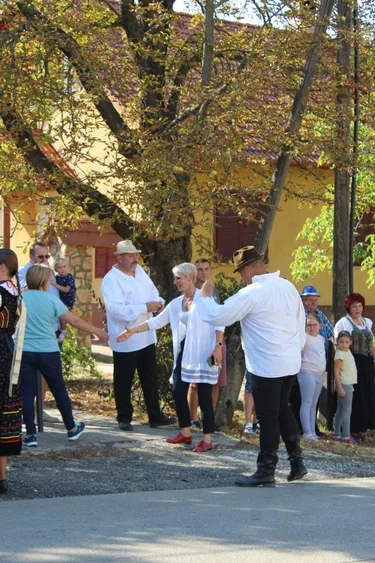 Szüreti felvonulás és utcabál