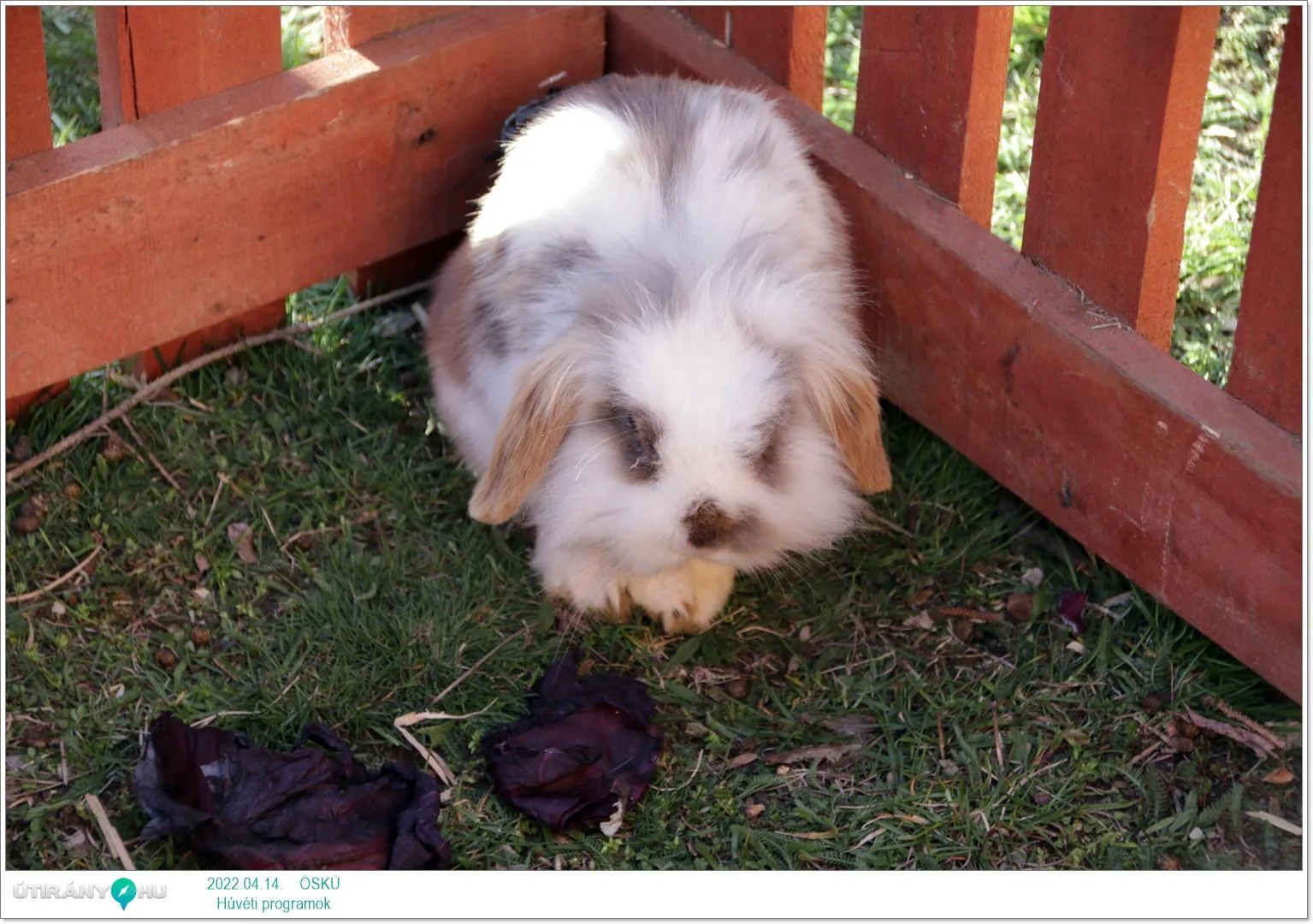 2022.04.14. csütörtöki nap Fotók: Útirány.hu