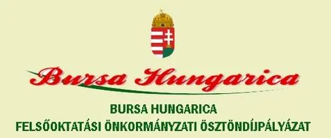 'Pályázat - Bursa Hungarica' cikk borítóképe