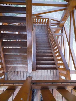 Fotók, Vadon Vándorai 