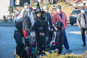 Fotó:Pacherné Kiss Anett