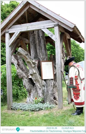 Helyszínen készült fotók