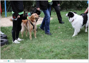 Fotók, Útirány.hu