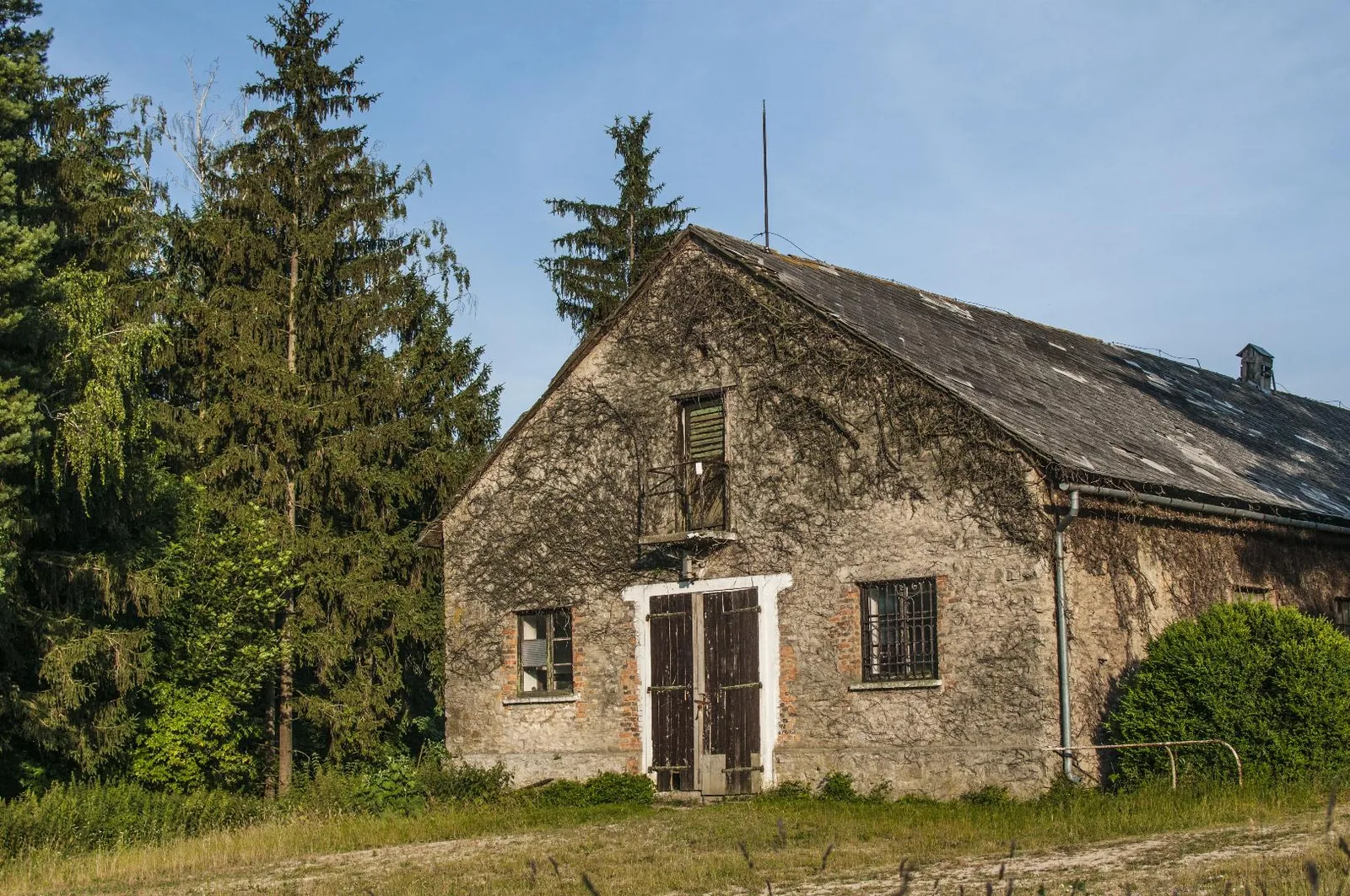 Fotó: Pesty Márton