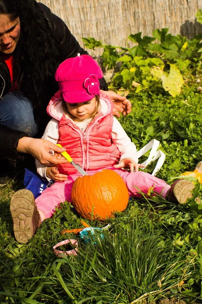Tökfesztivál 2018. Képek: Babai Lalinda