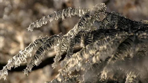 'III. Karácsonyi Túra' cikk borítóképe