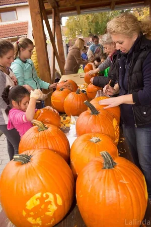 Fotók 1 album: Babai Lalinda