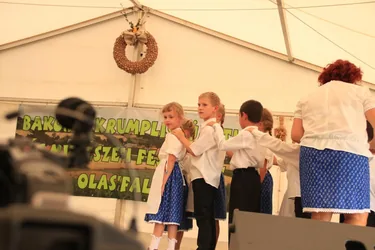 XIV. Bakonyi Krumpliszüreti és Művészeti Fesztivál 2016