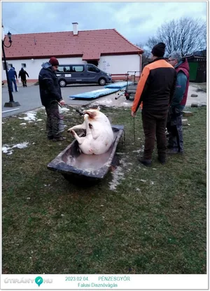 Fotók: Pénzesgyőr Önkormányzat