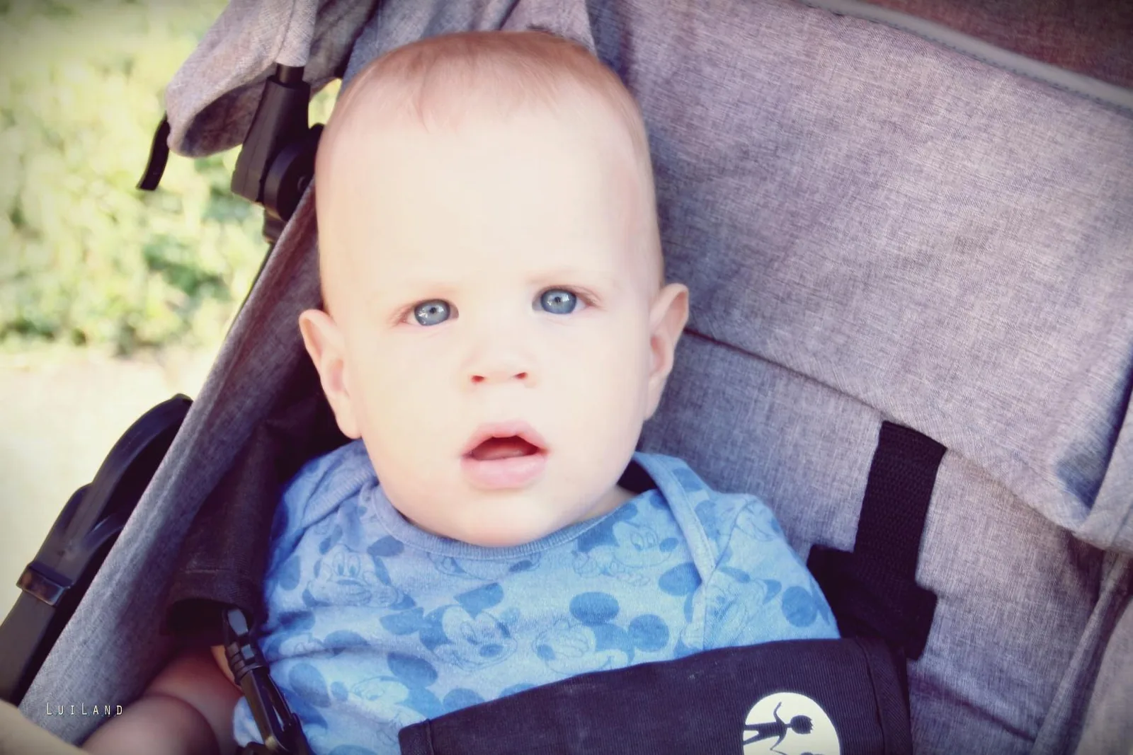 Falunap Fotó: LuiLand