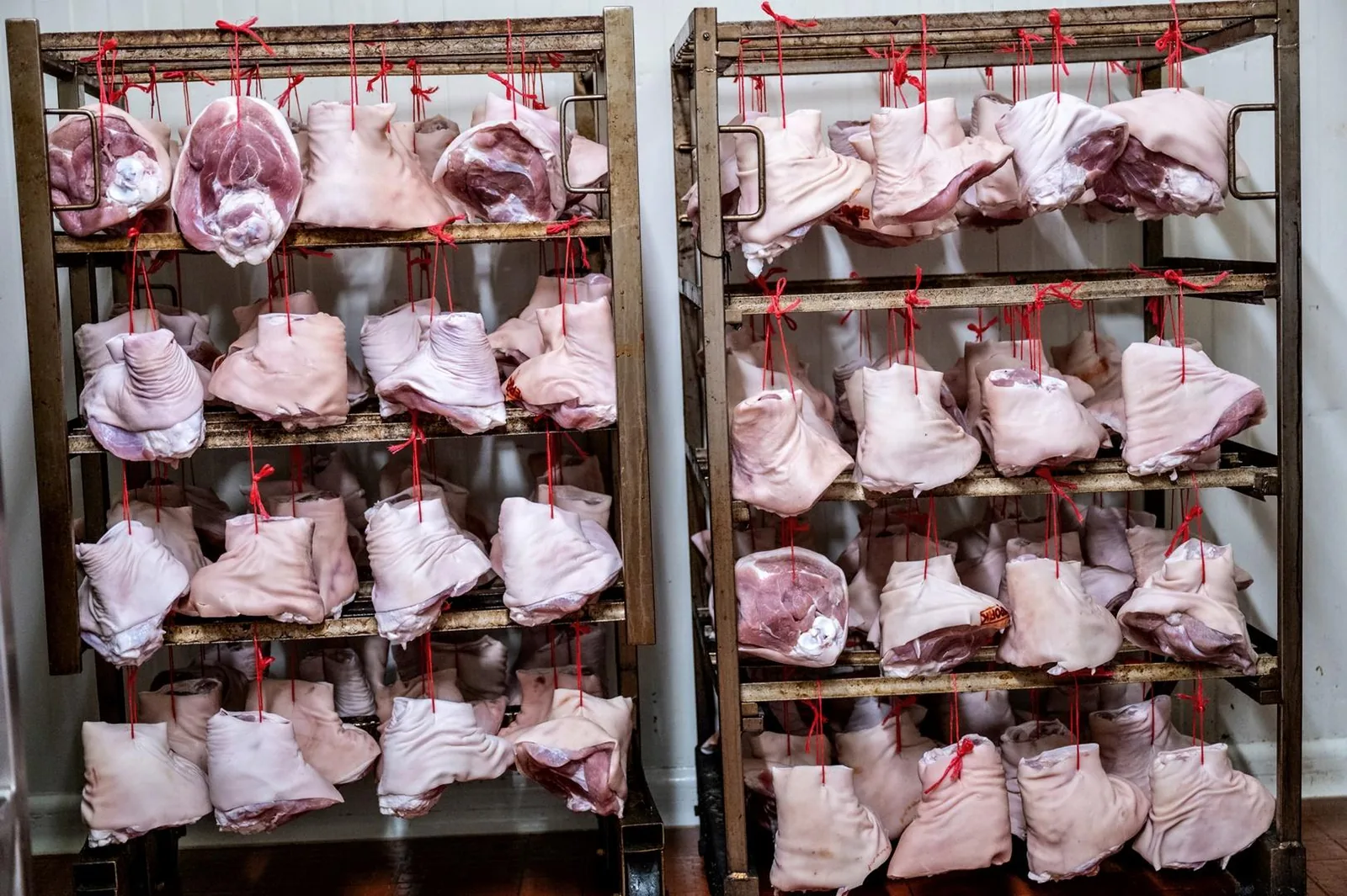 Képek: Horváth Dorottya