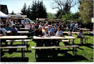 Medvehagymás Nap borítóképe