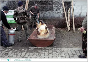 Fotók: Útirány.hu