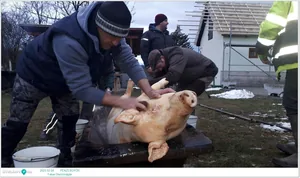 Fotók: Pénzesgyőr Önkormányzat