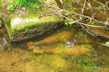 Fotók: Kapitány Gábor hadnagy, Vass Tamás főtörzsőrmester