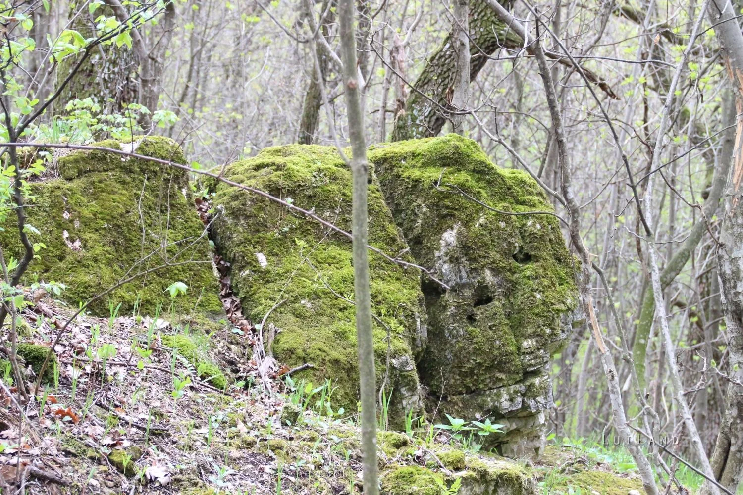 Fotók és kisfilm: Útirány.hu