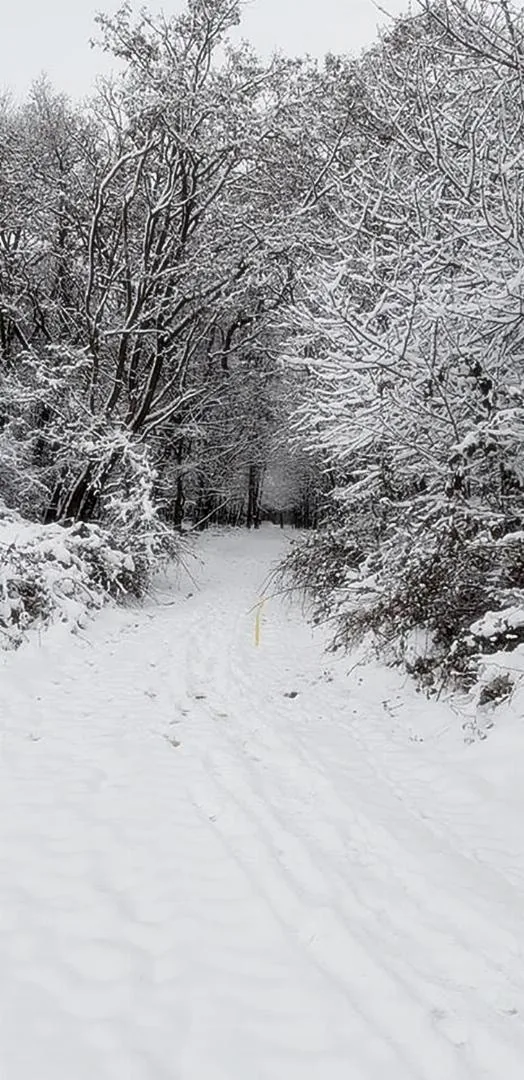 2018 tájfutás képekben