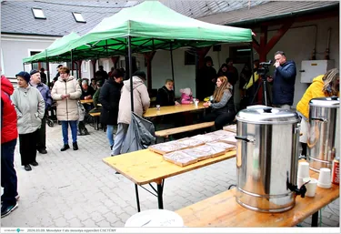 MosolyTOR / Disznóvágás