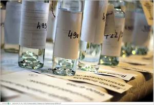 A bírálat pillanatai. Fotók: Útirány.hu