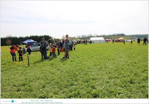 Fotók, Útirány.hu: