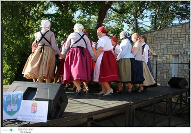 VIII. Sólyi Falunap