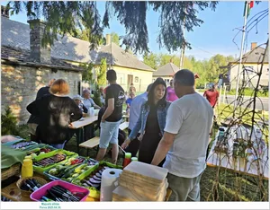 Fotók: Önkormányzat