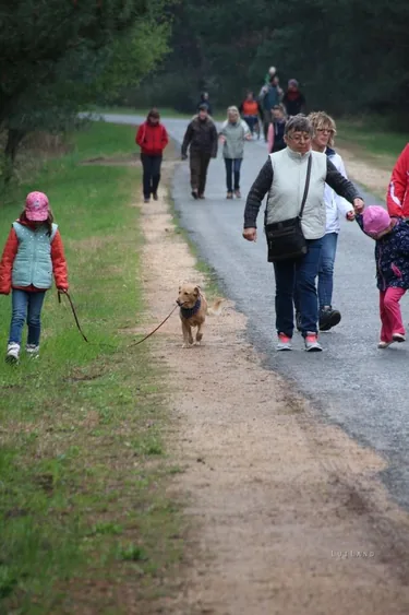 Második Fenyőfői Medvehagymás Családi Nap