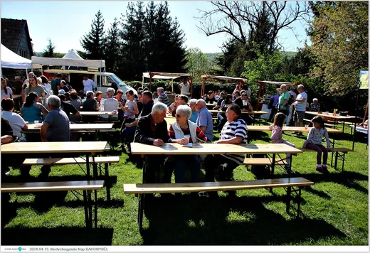 'Medvehagymás Nap' cikk borítóképe