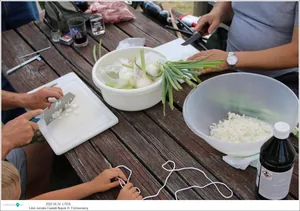 2022.06.24. képekben