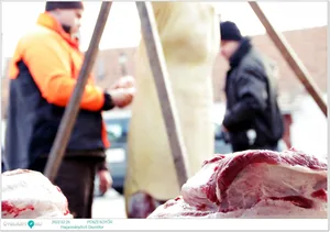 Fotók, Útirány.hu