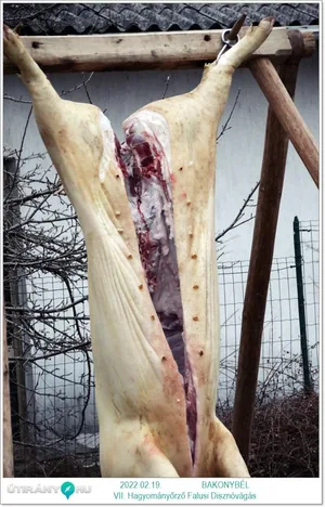 Fotók: Útirány.hu