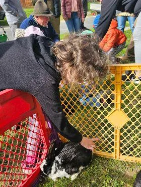 Képek az eseményről, Fotók: Önkormányzat