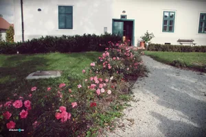 Szentmise után körséta az arborétumban. Fotók: Útirány.hu